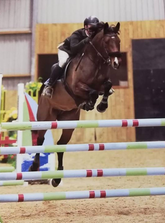 Clinta Z - Showjumping